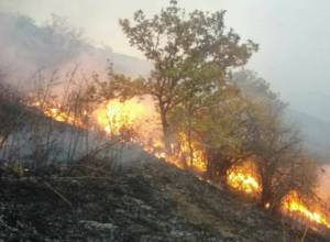 На участке “Зангезур” инспектора обнаружили очаг пожара