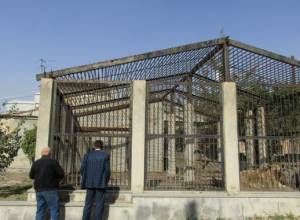 Նախարարությունն արձագանքել է արջերի վերաբերյալ ահազանգերին
