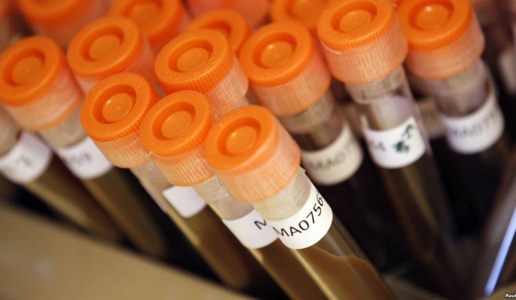 0266A817-B2A6-4F22-BF06-04398667C2A2_w1023_r1_s