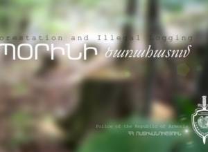 Бензопилой незаконно срубил пять деревьев