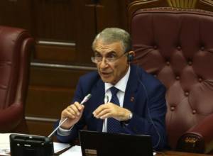 Ara Babloyan: It is very sad that the doctors' activities are compared to engineers' work