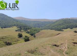 Մղարթը տվել է իր նախնական համաձայնությունը Շեկաղբյուրի ծրագրին. էկոլուր