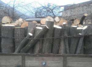 The damage caused to the environment during the week has been around 60 million. AMD