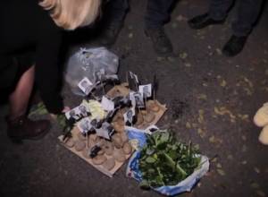 Картофель перед офисом РПА