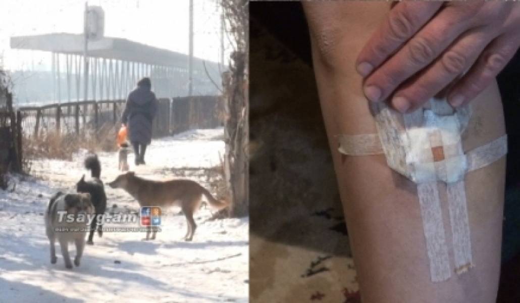 1513253814_hexine-shun-1