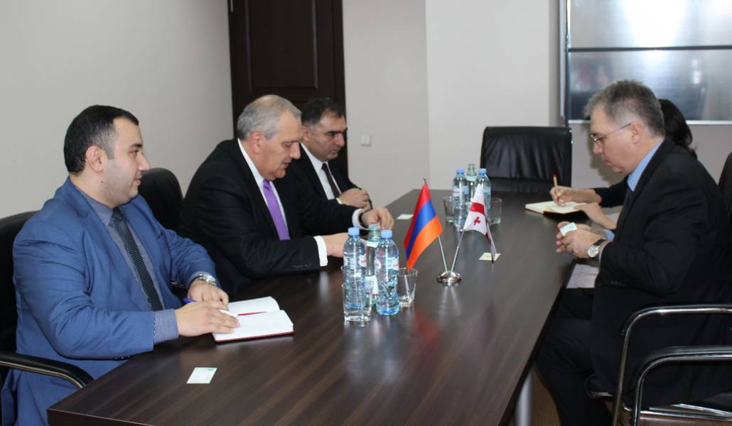 Դեսպան-Սադոյանի-հանդիպումը-Վրաստանի-առողջապահության-աշխատանքի-և-սոցիալական-հարցերի-նախարարի-հետ-2