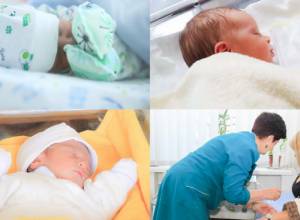 256 children are born in Yerevan on January 8-11