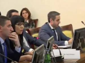 NA Standing Committee Sitting, Live