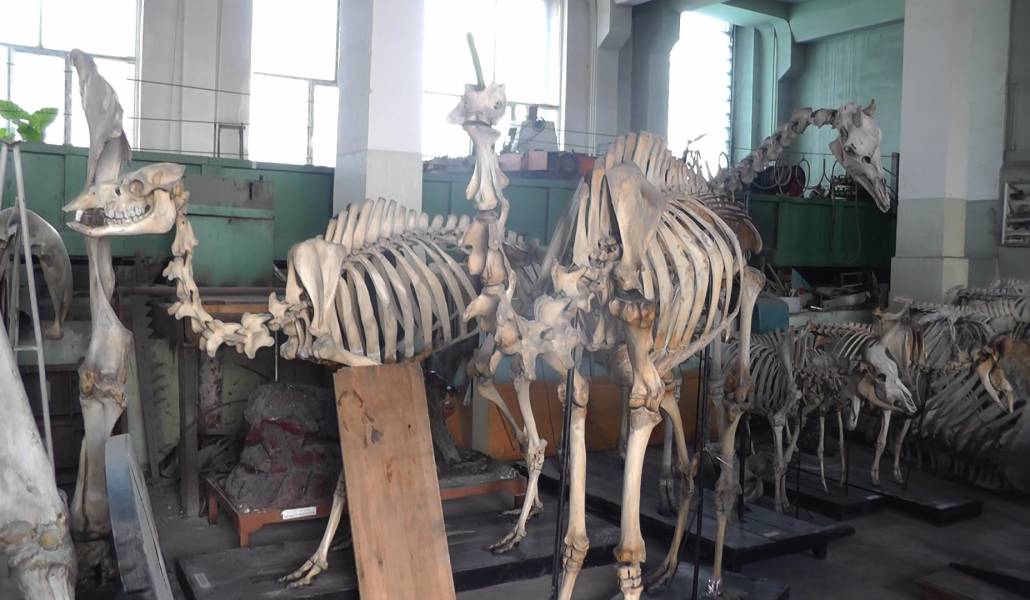 00220.MTS_snapshot_00.00_2018.02.02_18.19.44