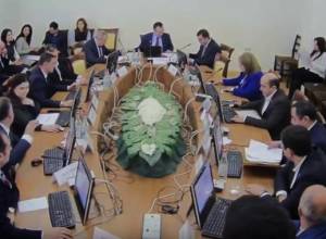 NA Standing Committee holds special session