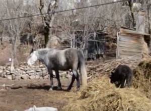 Дебедцы требуют от надлежащих органов предпринять шаги