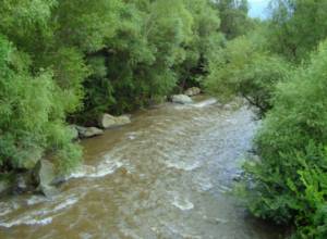 Հավաստիացնում են՝ նոր մեթոդը կնպաստի գետերի էկոհամակարգերի բարելավմանը