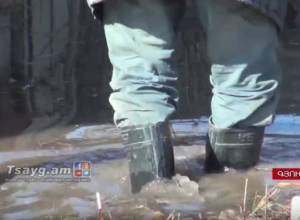 Домик, дерево, есть электричество 10 тысяч вольт: житель о воде, залившей дом