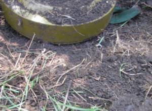 Обнаружена мина