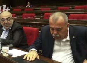 «Սահմանադրական հայբուդուր, արար 1»