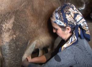 Сельчанин вынужден назвать цену на дорожающем рынке