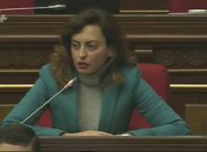 ԵԼՔ-ն ու «Ծառուկյան» խմբակցությունը պահանջեցին վերահաշվարկ
