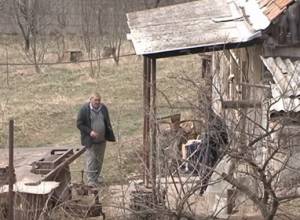 Волки и шакалы стали проблемой даже для охотников