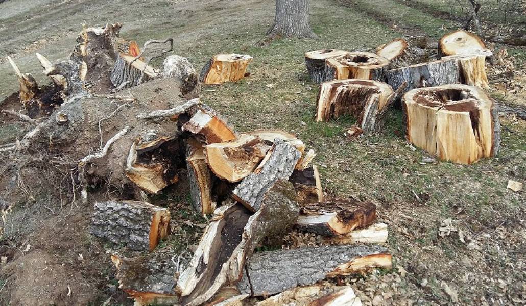 30720e3d7d6e42a1f0a2e6v3e473cba37