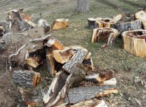 Gor Hovhannisyan informs