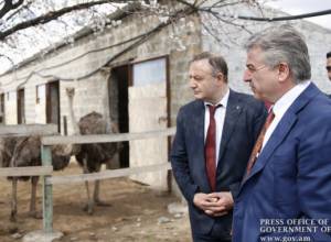 Karen Karapetyan familiarized with ostrich-breeding, pistachio orchards and winemaking programs in Armavir Marz