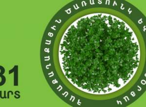 Leave unused property or solid waste near garbage bins