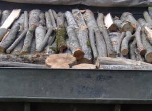 Illegal timber used in wood processing factory in Artsvakar community