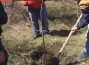 #МойШаг день 11: до площади Свободы осталось 3 дня