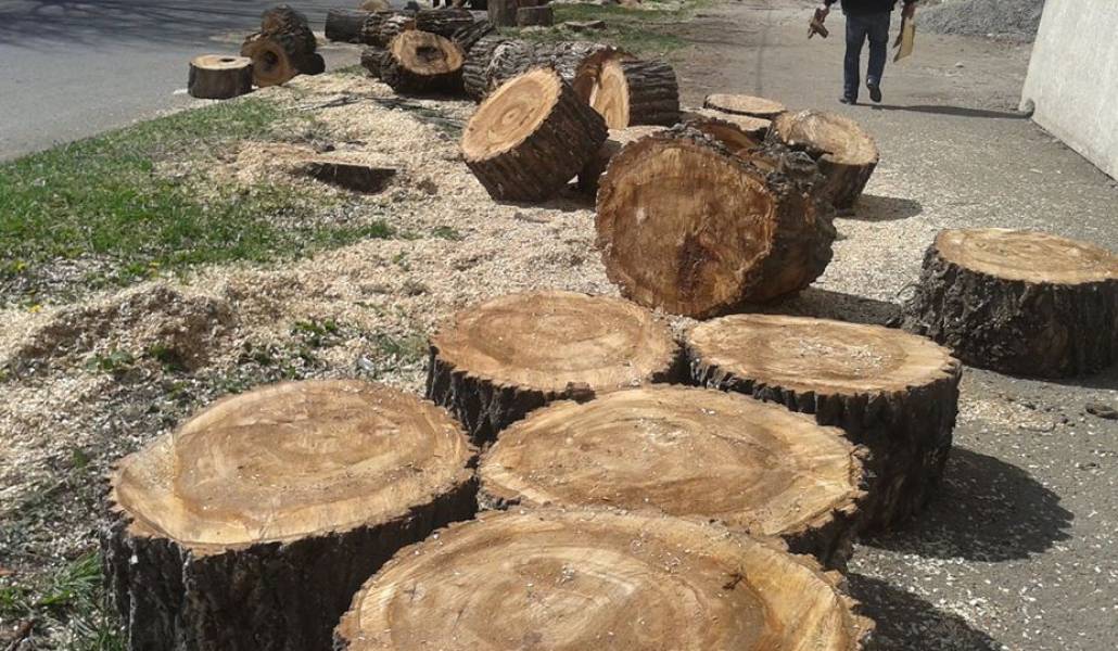 30629790_1788452944540486f_9102090941909741697_n