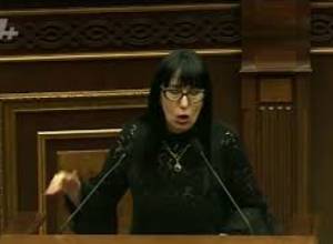 Naira Zohrabyan urges Government not to be stubborn