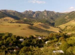 Levon Shirinyan: Disable community enlargement program