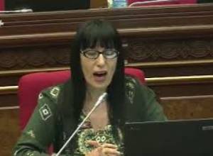 «ԵԼՔ» և «Ծառուկյան» խմբակցությունները չեն մասնակցի ՍԴ դատավորի ընտրությանը