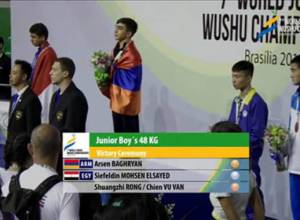Arsen Baghryan as Wushu World Champion