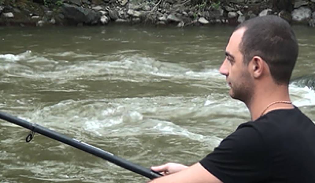 731b2d_d01f953a0135449bb55fe2a5a89f2292_mv2