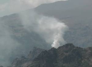 Փորձանմուշներ մարդու մազից, հավի ձվից