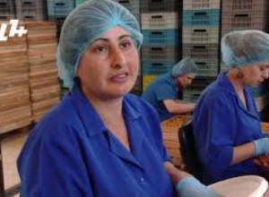 Չնայած կասեցման որոշմանը՝ Եղվարդում գործարանի կառուցումը շարունակվում է