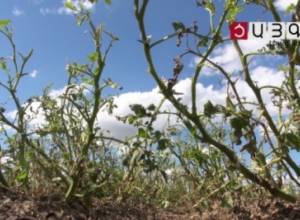 Azat village residents record hail damage