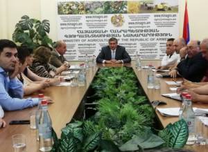 ԳՁՕ-ների մասին օրենքի նախագիծը կներկայացվի հանրային քննարկման