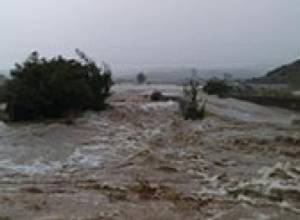 Emergency situation in Shenik, Karakert and Dalarik communities