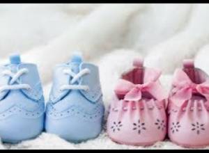 ԹԵՄԱ. Սելեկտիվ ամբորտներ. օրենքն ընդդեմ հայկական մտածելակերպի