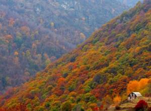 Air temperature to not change significantly