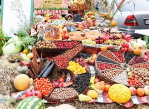 Արցախում աճեցրած արևադարձային մրգերը զարմացրել են այցելուներին