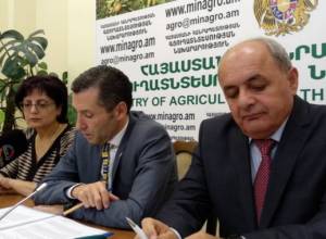 Հայաստանում բնակչության 6 տոկոսը թերսնված է, թեեւ երկրին սով չի սպառնում
