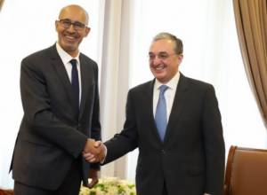 Acting FM receives OSCE Representative on Freedom of Media