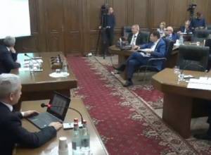 Discussions on Budget at Joint Sitting of Standing Committees of National Assembly