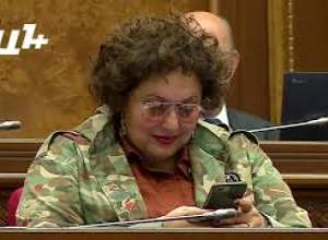 Սամվել Ֆարմանյանը պատգամավորներին չհամոզեց