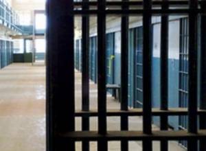 Число заключенных, освобожденных по амнистии, по положению на 15-е ноября