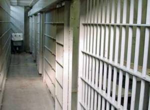 Число осужденных, освобожденных по амнистии, по положению на 20-е ноября