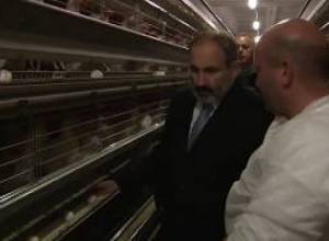 Նիկոլ Փաշինյանն այցելել է  Ապարանի թռչնաբուծական և խոզաբուծական ֆերմերային տնտեսություն