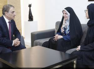 Ara Babloyan holds meeting with Iranian MP